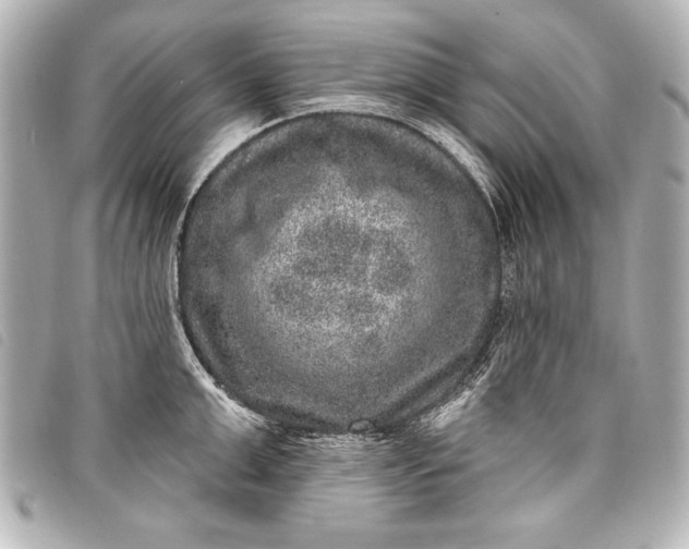 X0000098070999200804181128