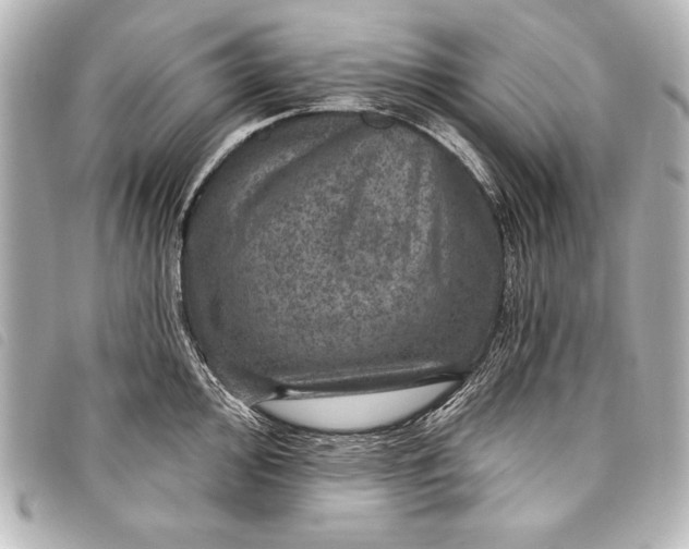 X0000098071000200804181128