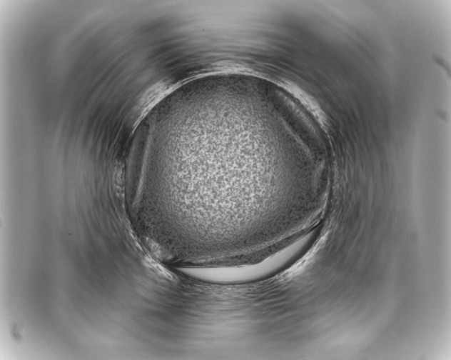 X0000098071001200804181128