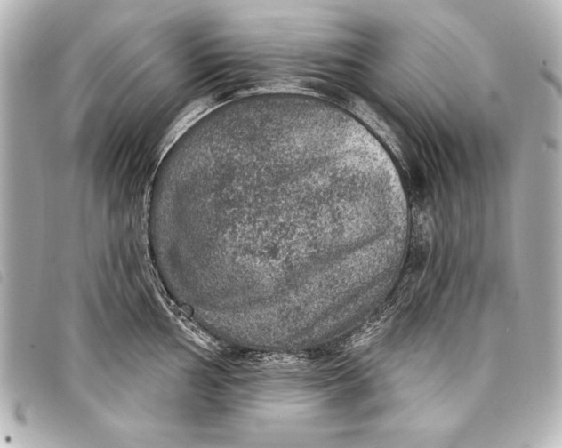 X0000098071002200804181128