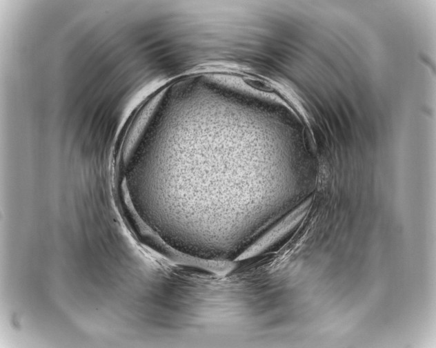 X0000098071003200804181128