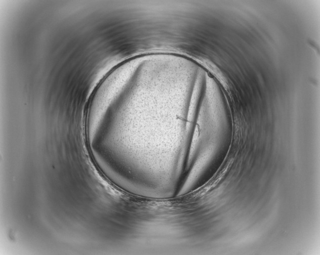 X0000098071006200804181128