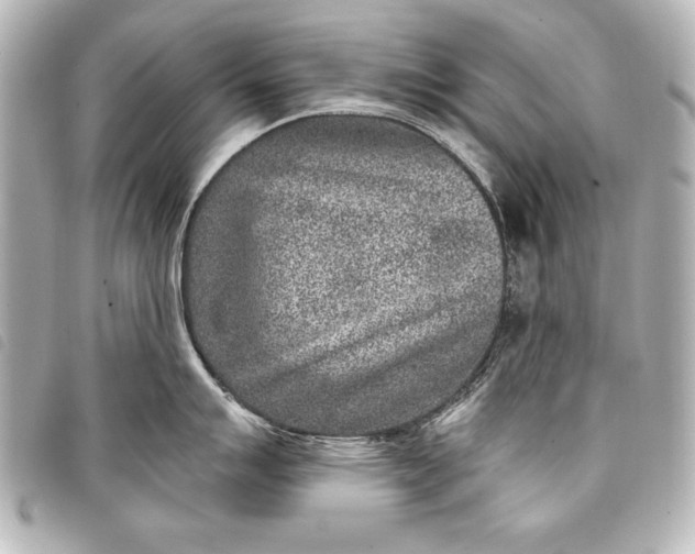 X0000098071007200804181128