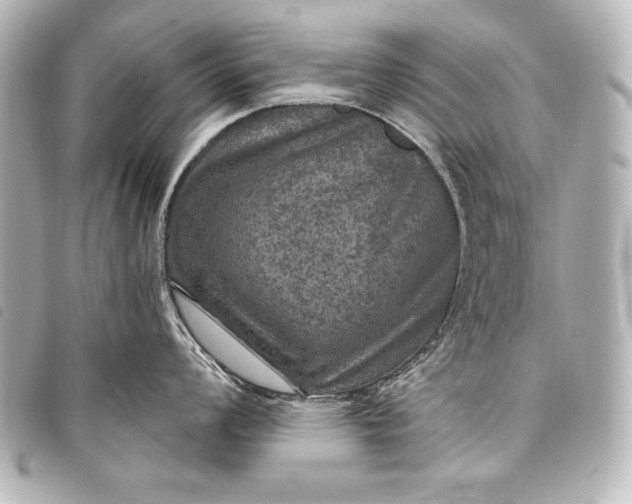 X0000098071008200804181128