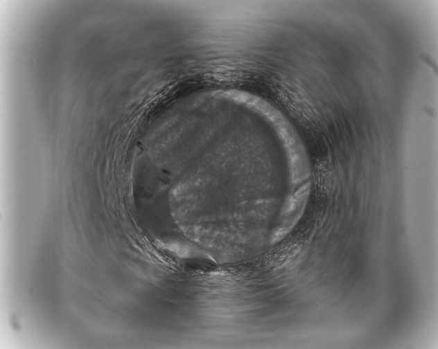 X0000098071009200804181127