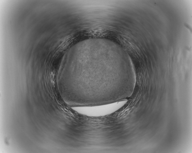 X0000098071010200804181127