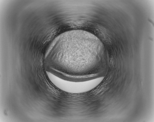 X0000098071012200804181127