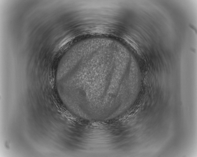 X0000098071015200804181127