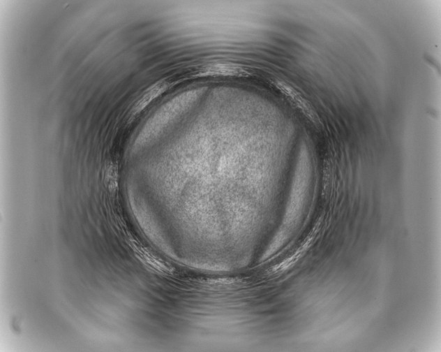 X0000098071017200804181127