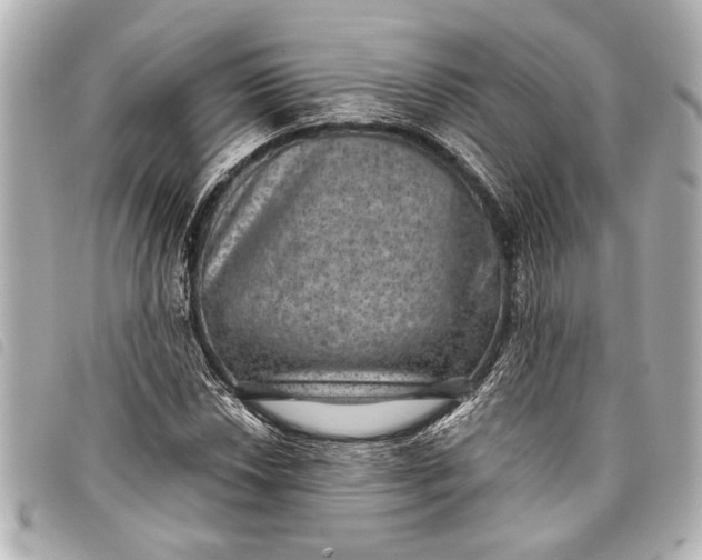 X0000098071018200804181127