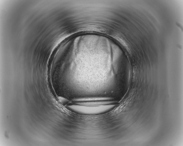 X0000098071020200804181127