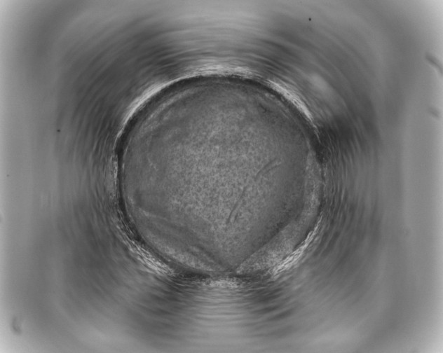 X0000098071021200804181127