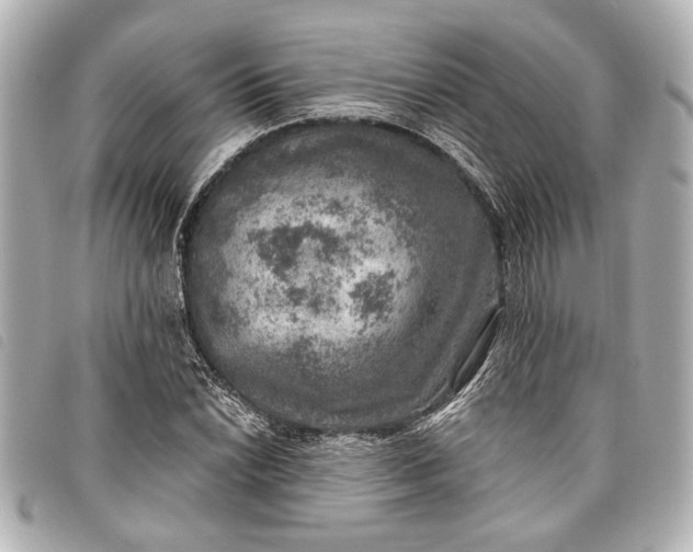 X0000098071022200804181127