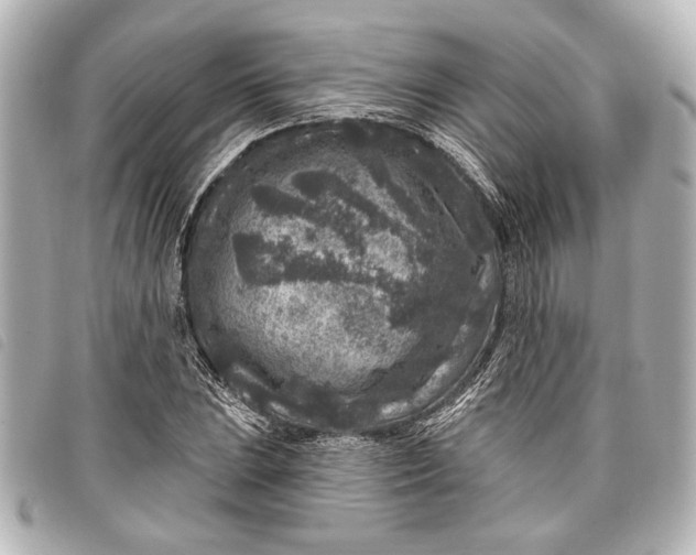 X0000098071023200804181127