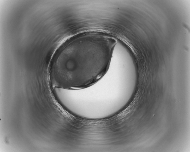 X0000098071024200804181127