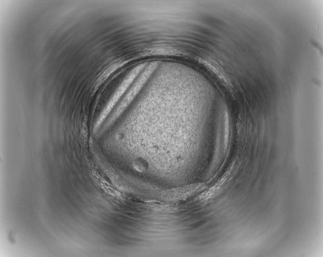 X0000098071025200804181127