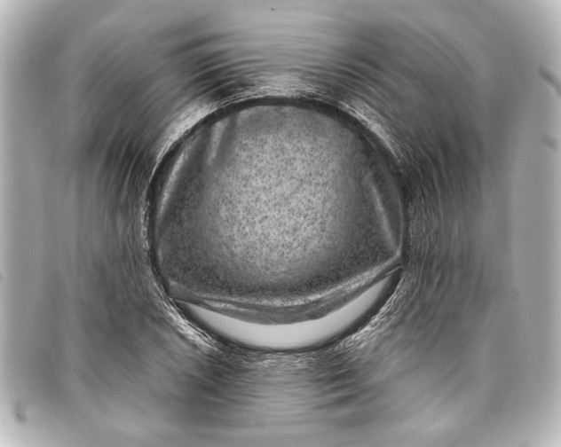 X0000098071026200804181127