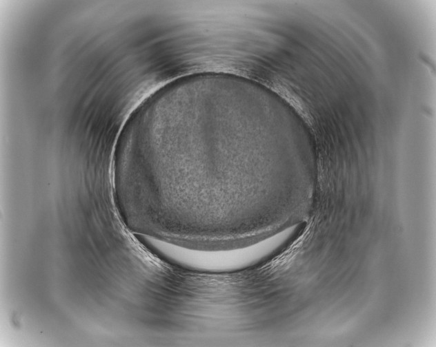 X0000098071028200804181127