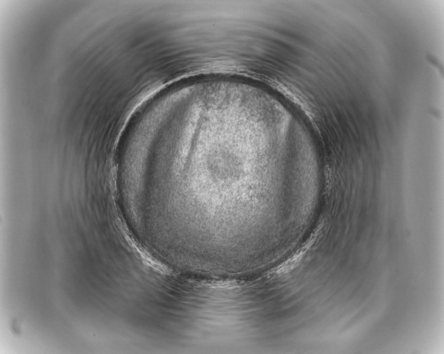 X0000098071029200804181127