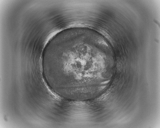 X0000098071030200804181127