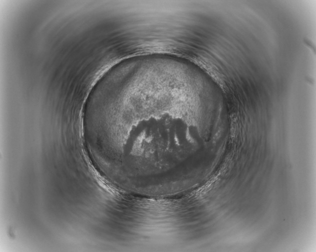 X0000098071031200804181127