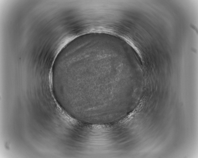 X0000098071032200804181127