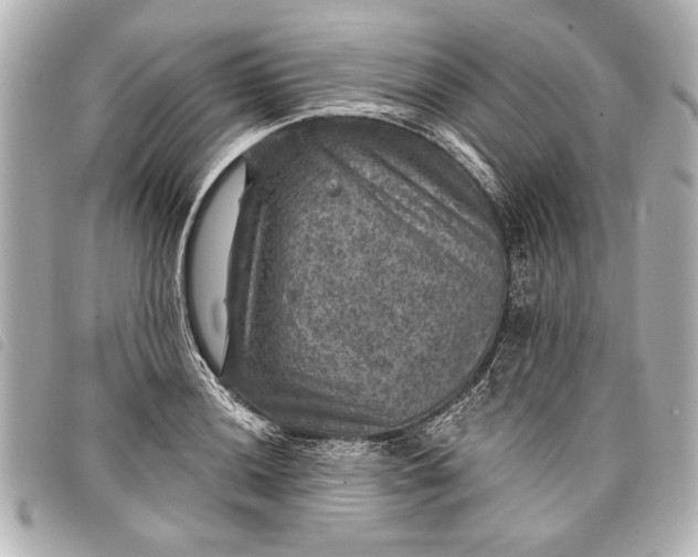 X0000098071036200804181127