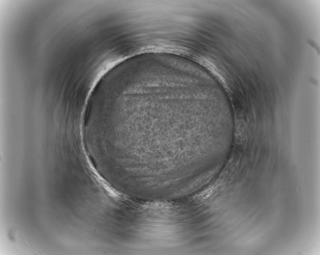 X0000098071040200804181127