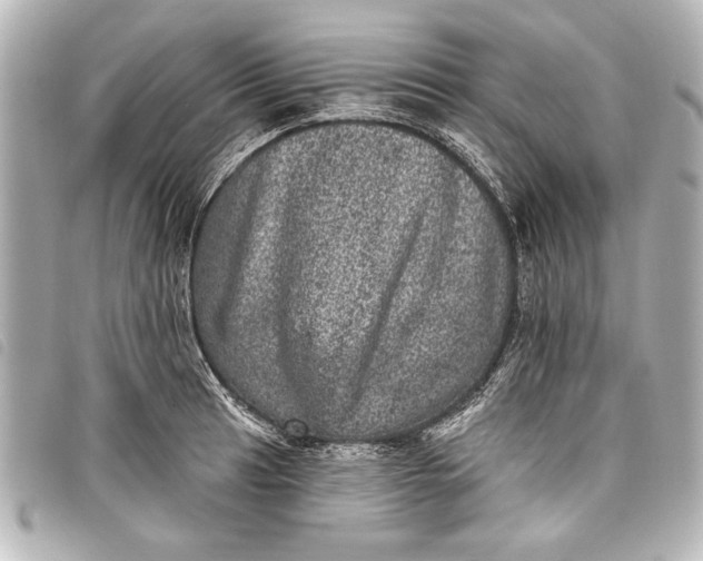 X0000098071041200804181127