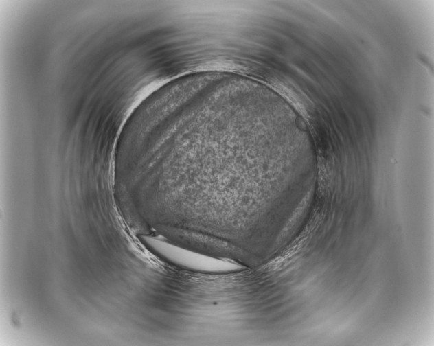 X0000098071044200804181128