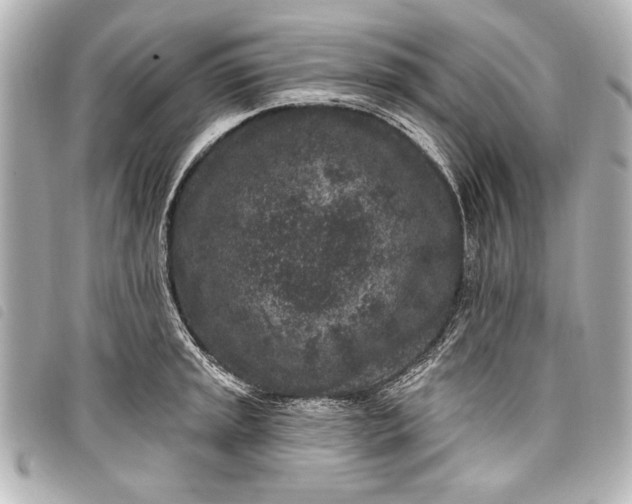 X0000098071045200804181128