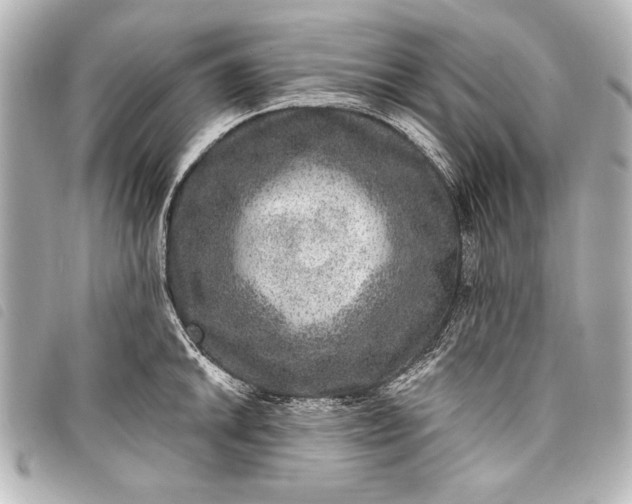 X0000098071046200804181128