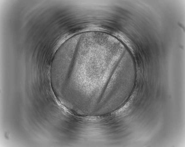 X0000098071049200804181128