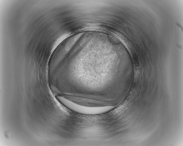 X0000098071050200804181128