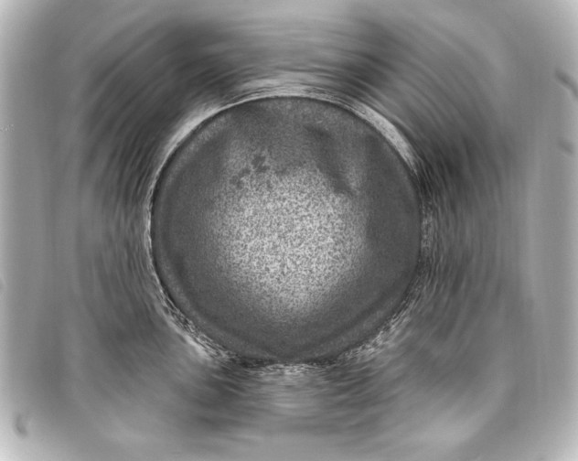 X0000098071051200804181128