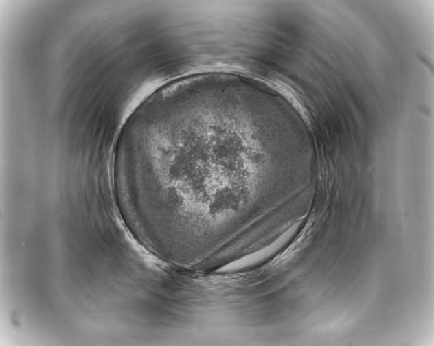 X0000098071054200804181128