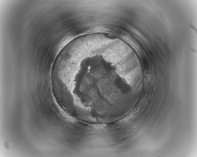 X0000098071055200804181128