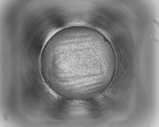 X0000098071056200804181128