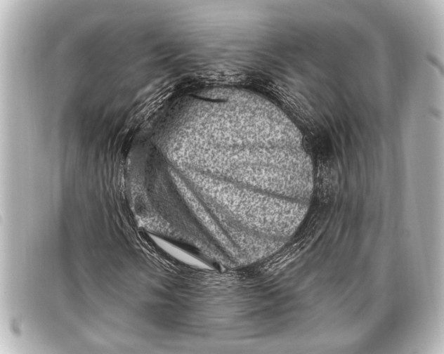 X0000098071058200804181127