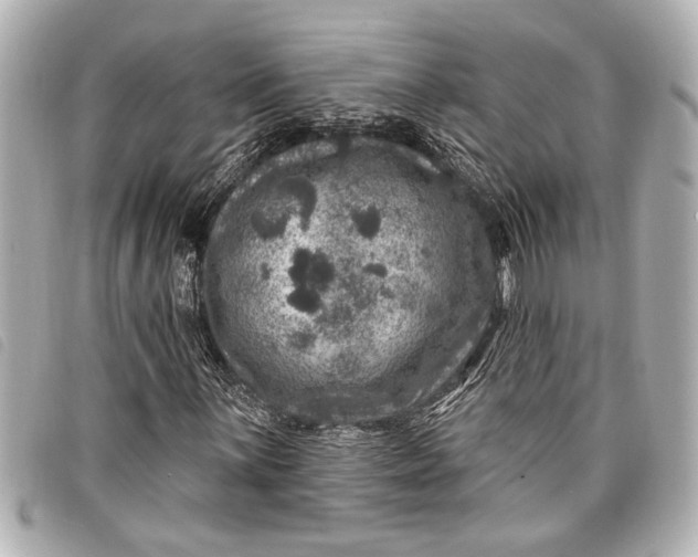 X0000098071059200804181127