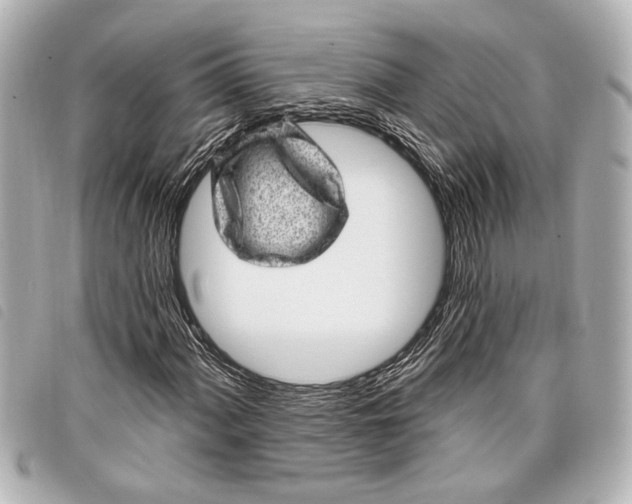 X0000098071060200804181127