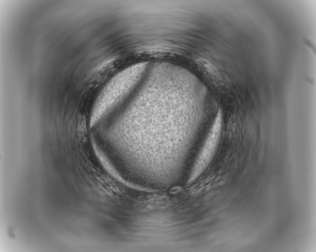 X0000098071062200804181127