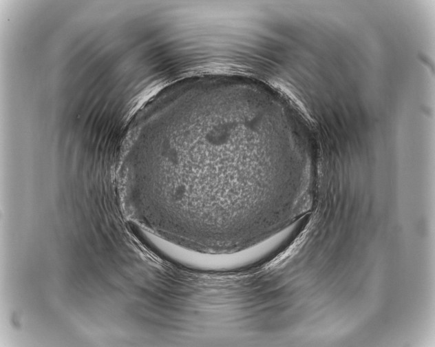 X0000098071065200804181127