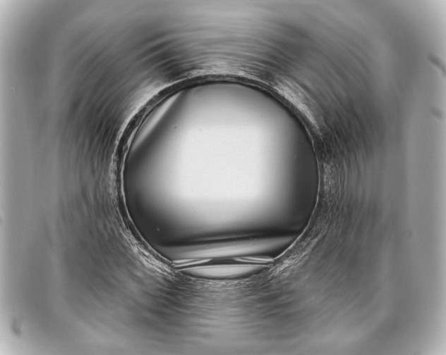 X0000098071068200804181127