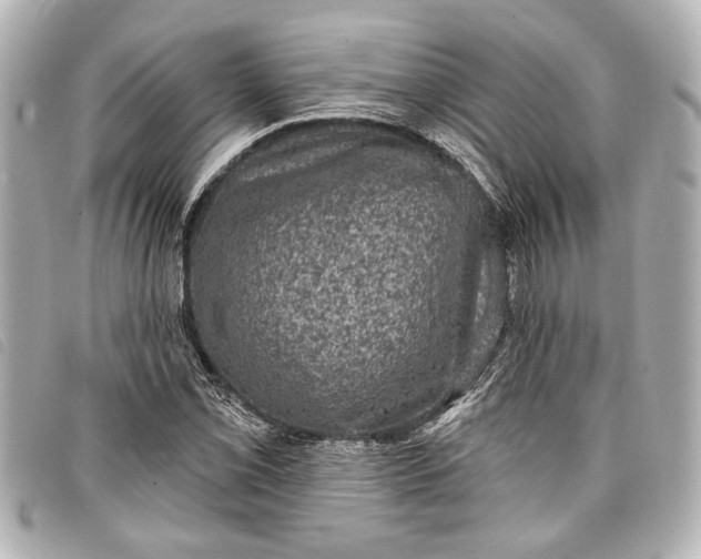 X0000098071069200804181127