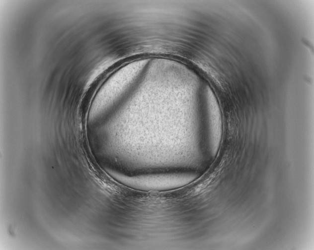 X0000098071070200804181127