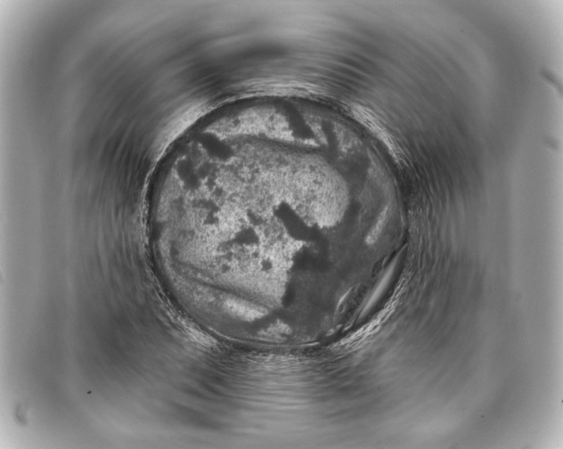 X0000098071071200804181127