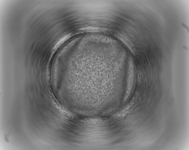 X0000098071074200804181127