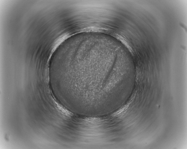 X0000098071075200804181127