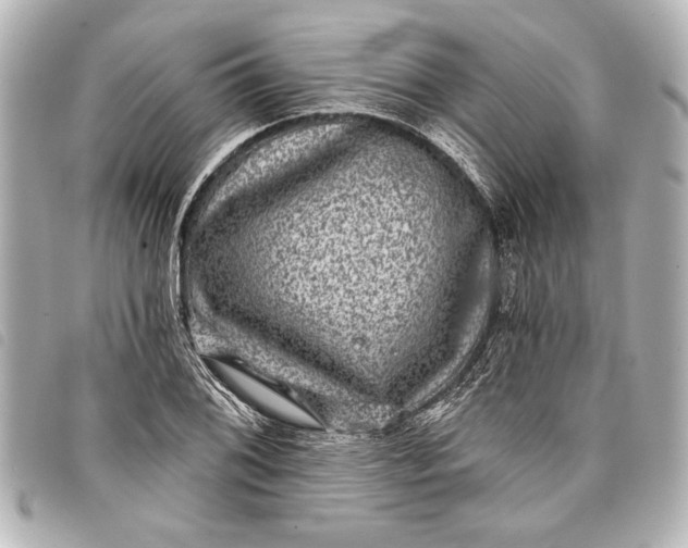 X0000098071076200804181127